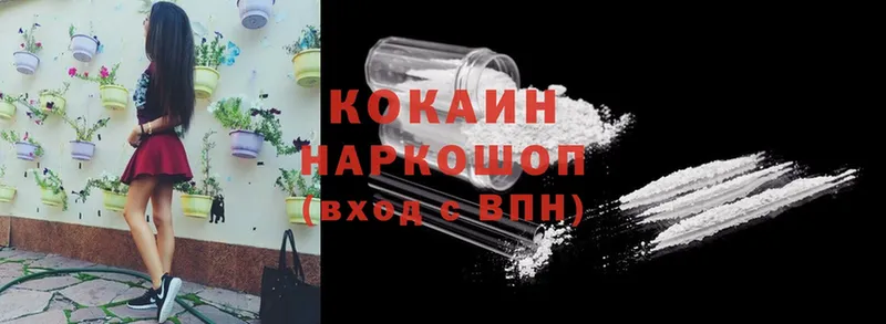 магазин продажи наркотиков  mega ссылка  КОКАИН FishScale  площадка как зайти  Димитровград 