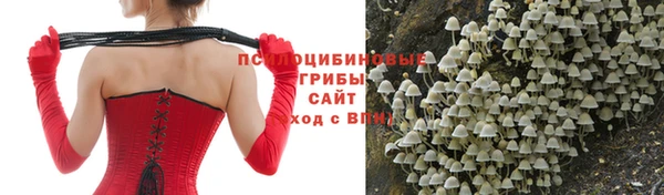 эйфоретик Куйбышев