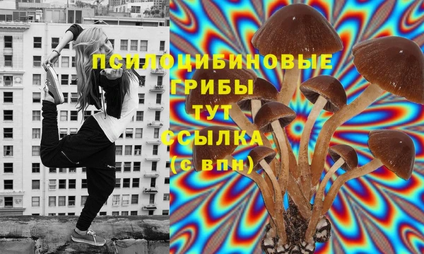 СК Кулебаки