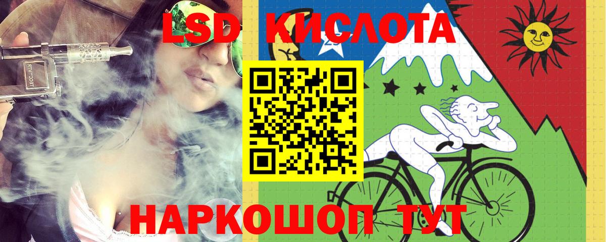 МЕФ Димитровград