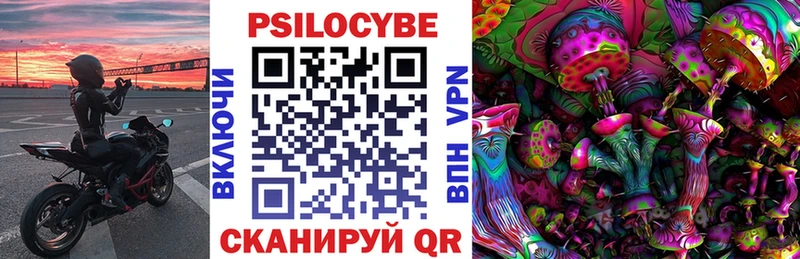 kraken зеркало  где можно купить   Димитровград  Псилоцибиновые грибы Psilocybine cubensis 