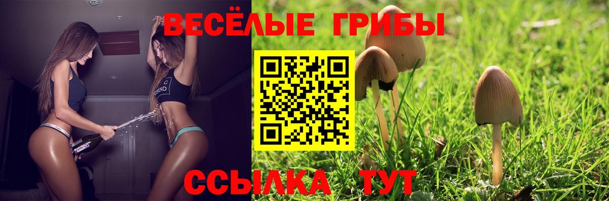 цены   Вход с VPN  Димитровград  Псилоцибиновые грибы Magic Shrooms  Галлюциногенные грибы Cubensis 
