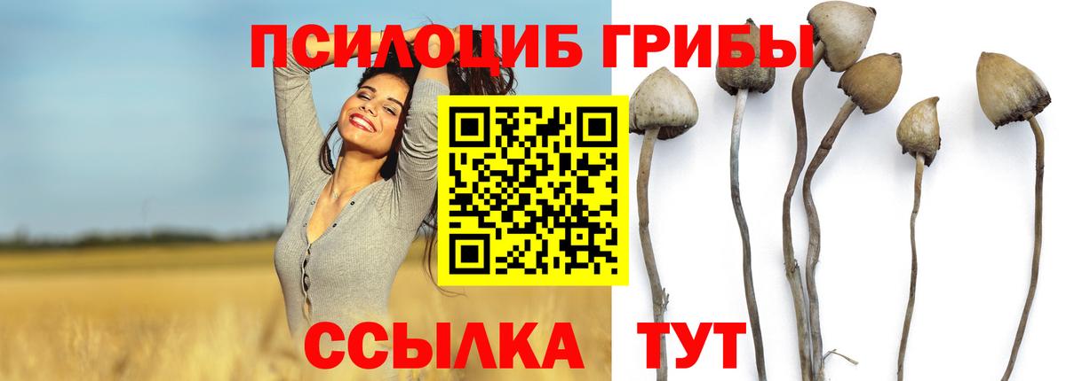 Псилоцибиновые грибы мицелий  Димитровград 