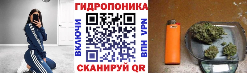 купить наркоту  Димитровград  Марихуана план 