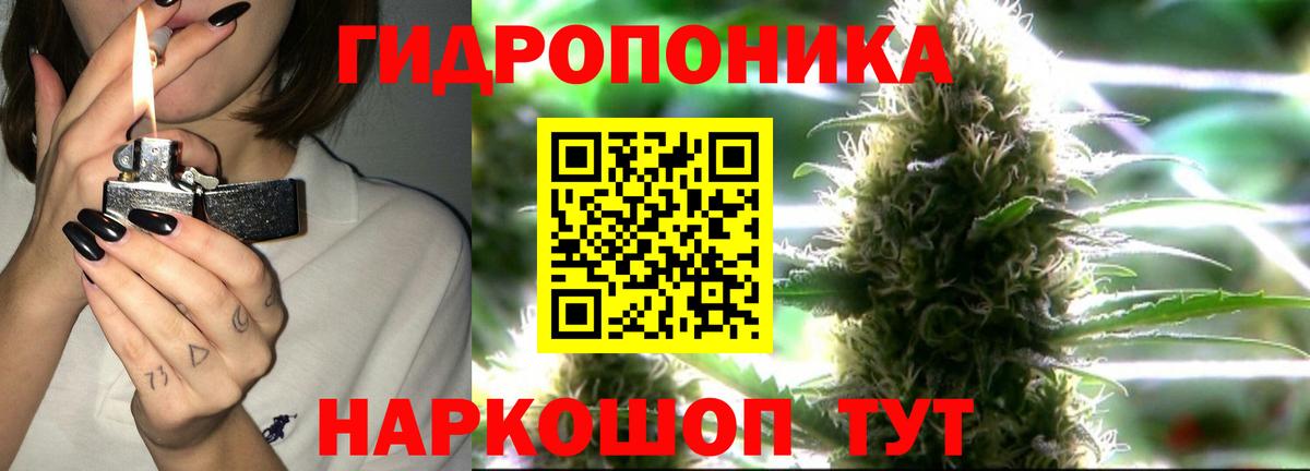 МАРИХУАНА планчик Димитровград